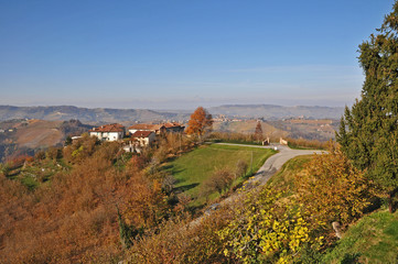 Le colline delle Langhe in autunno a Sinio,  Langhe - Piemonte