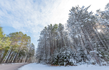 Fototapety na wymiar - Fototapeta24.pl