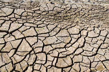 soil break texture