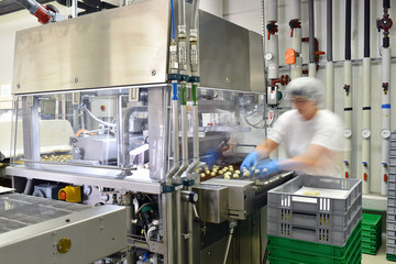 Frau arbeitet an einer Maschine in der Lebensmittelindustrie - Herstellung von Pralinen