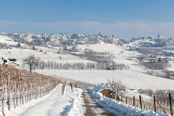 Fototapeta na wymiar Hills and vineyards under the snow.
