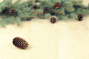 branches of blue spruce nd cones