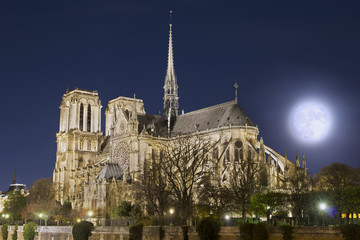 Obraz na płótnie Canvas Notre Dame De Paris