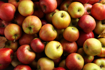 Fresh and ripe apples background, close up