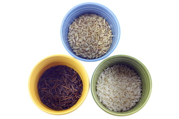 Rice