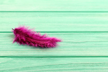 Feather on a mint wooden table