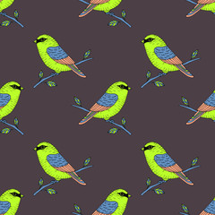 Vector cute colorful canary bird seamless pattern, hand drawn parrot illustration