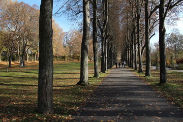 Naklejka premium Autumn Park