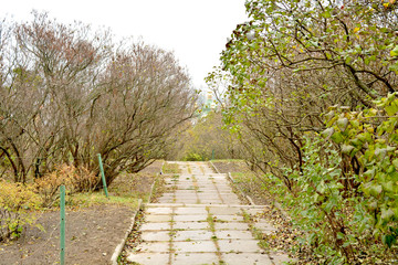 Осенний парк в столице Украины - Киеве