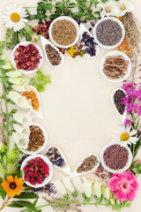Herbal Medicine Ingredients