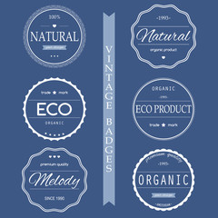 Obraz premium Set of vintage hipster logos