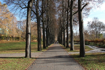Autumn Park