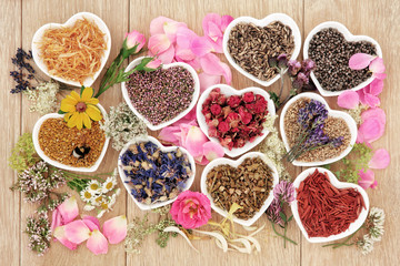 Obraz na płótnie Canvas Healing Herbs and Flowers