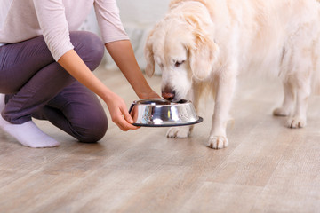 Caring woman feeding the dog 