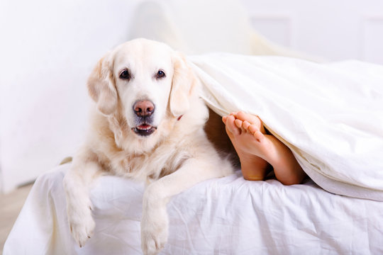 Caring woman lying on bed with her dog 