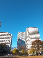 Obraz premium 高層マンションと青空
