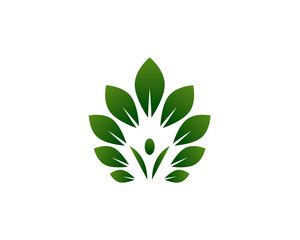 Healthy Leaf