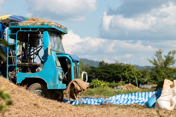 old trucks rusts on a farm