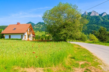 House on green field with poppy flowers in Pieniny Mountains, Poland © pkazmierczak
