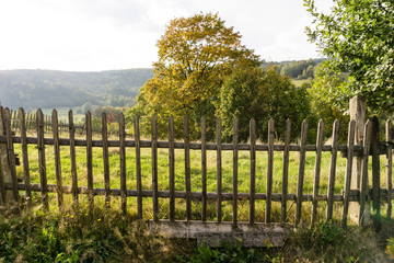 Old broken wooden fence