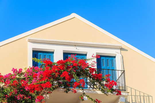 Red Bougainvillea flowers on balcony of typical Greek house in Fiskardo town, Kefalonia island, Greece - Powered by Adobe