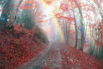 Obraz na płótnie Canvas autumn mist