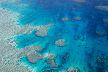 Fototapeta na wymiar Great Barrier Reef - Aerial View