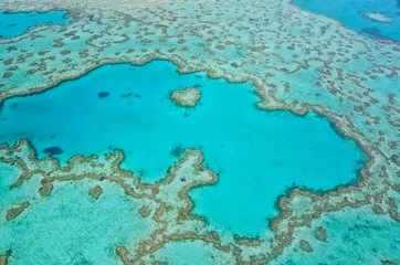 Zelfklevend Fotobehang Great Barrier Reef - Aerial View © Anthony Ngo