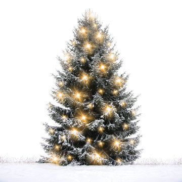 Sch&ouml;ner Weihnachtsbaum