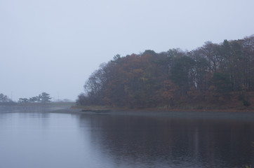 Fototapeta premium Foggy shore