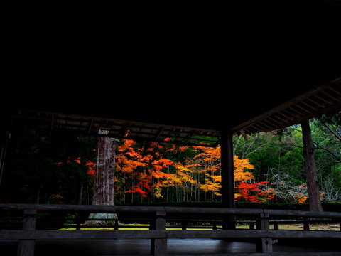 世界遺産　平泉　中尊寺の紅葉