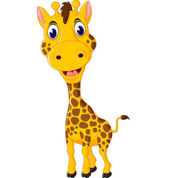 Cute giraffe cartoon of illustration

