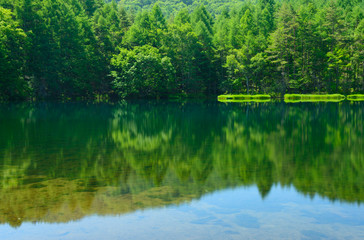 Fototapeta na wymiar Mishaka Pond in Nagano, Japan