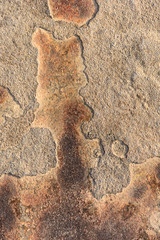 Vertical close-up of sandstone slab with colorful patterns
