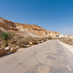 Road in Desert