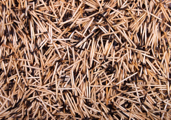 background of burnt matches