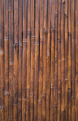 bamboo background