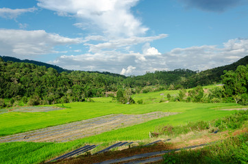 green rice terraces in country village,Thailand