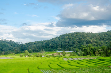 Fototapeta premium green rice terraces in country village,Thailand