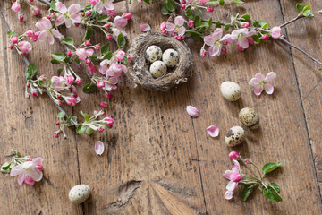 egg in nest with pink flowers