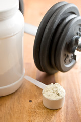 the whey protein