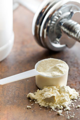 the whey protein