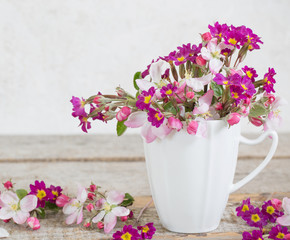 Still life of apple blossom flowers