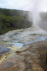 Lady Knox Geyser