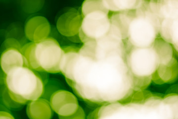 Abstract bokeh background from nature
