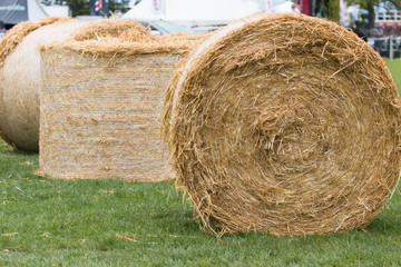 Three hay bales on the grass
