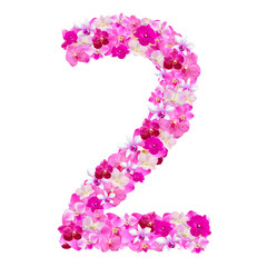 Alphabet number two from orchid flowers isolated on white 