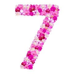 Alphabet number seven from orchid flowers isolated on white