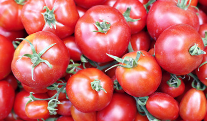 Background of bright red ripe tomatoes