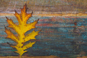 vintage autumn leaves with patina background